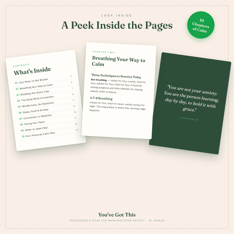 You’ve Got This: Techniques and Tales for Managing Your Anxiety (The Complete Self-Care & Wellness Guide)